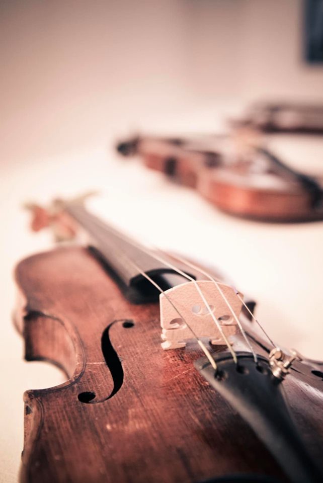 Violinist - Assessment Findings