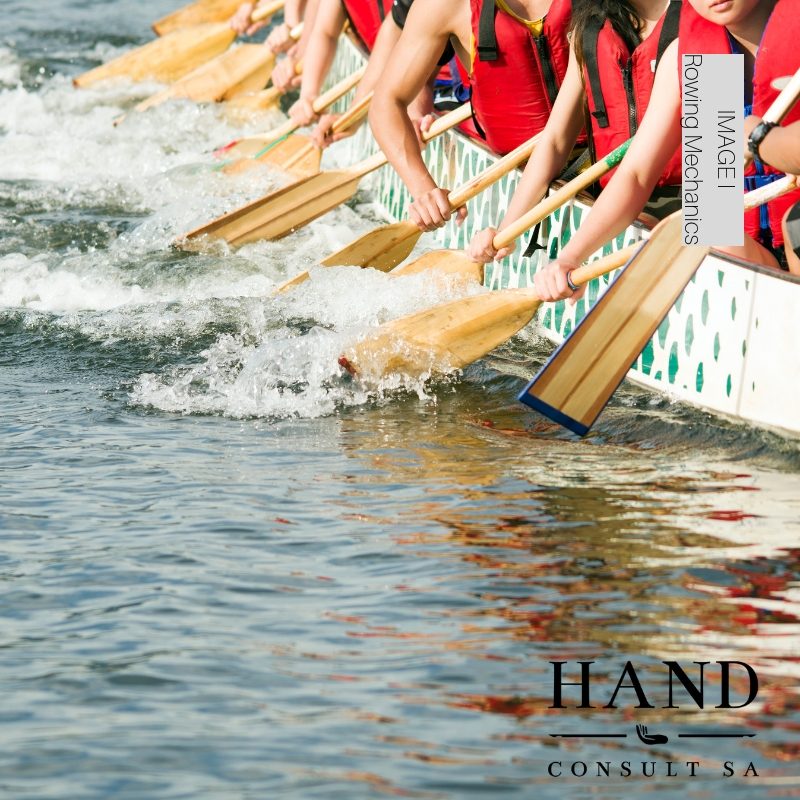 The Rowing Discipline